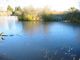 Frozen Neary Lagoon