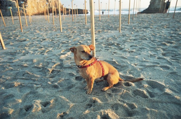 Coffee Boy keeping track of stuff